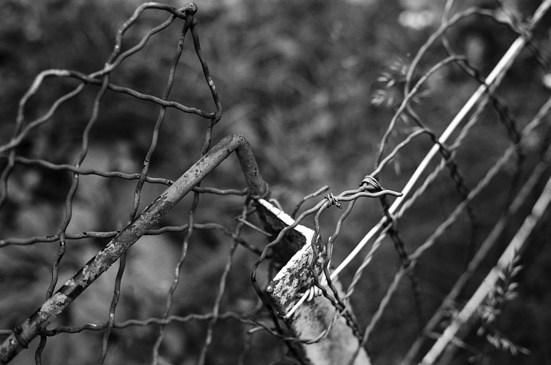 on the fence