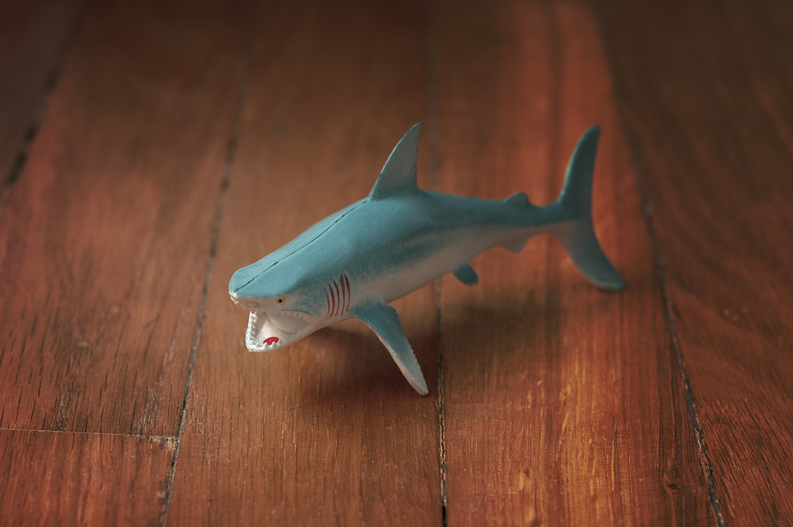Jaws