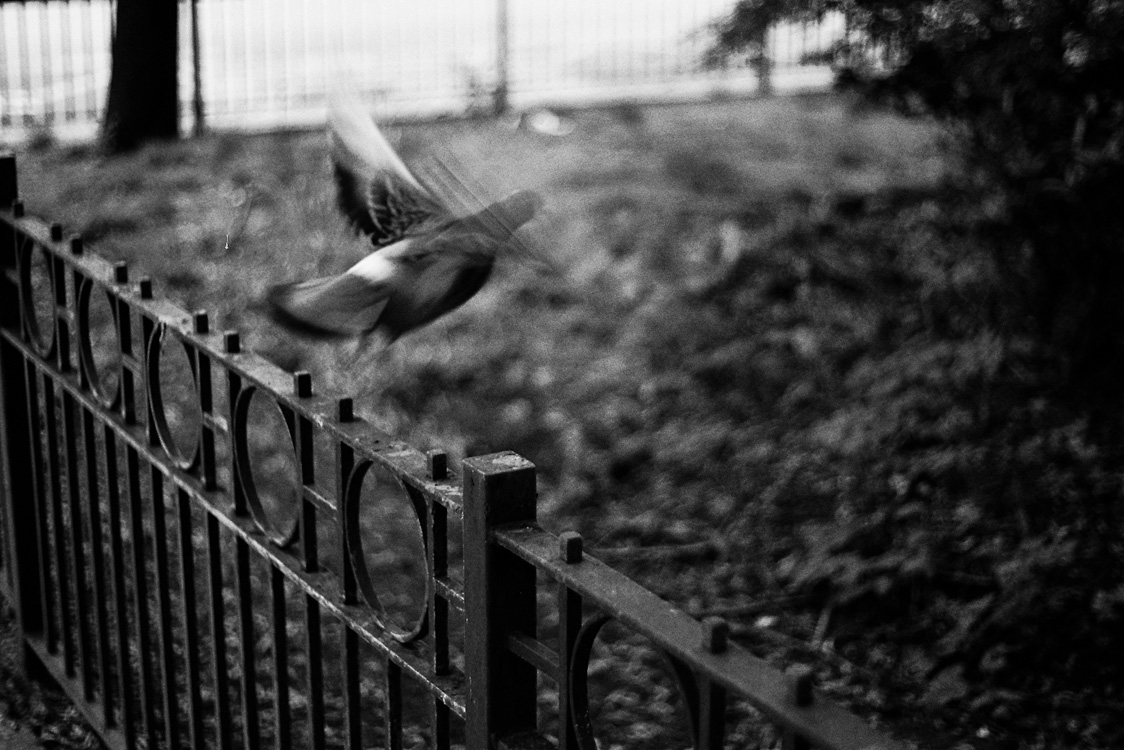 flying