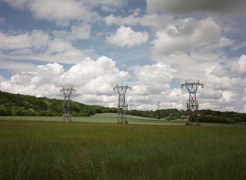 3 monsters in the field