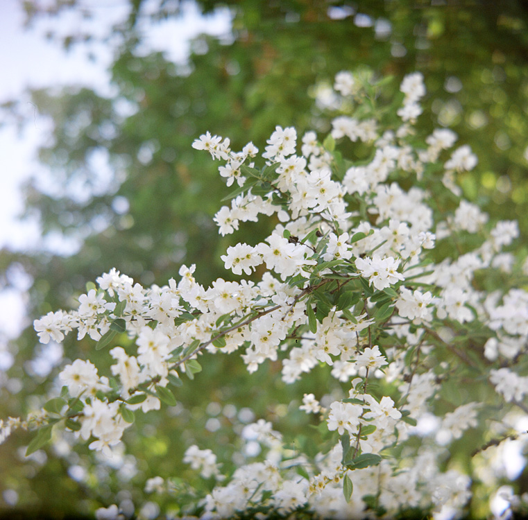 Spring is back ;-)