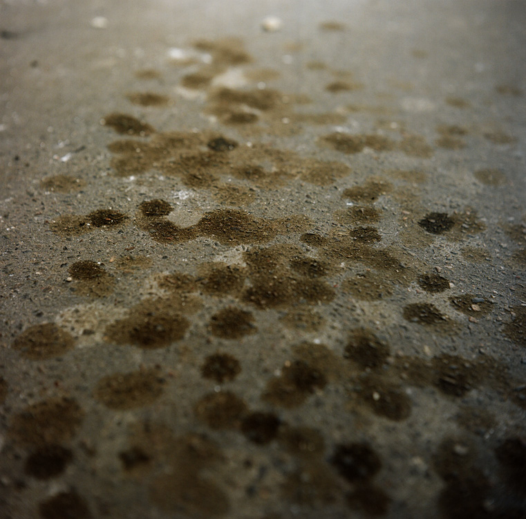 Dots