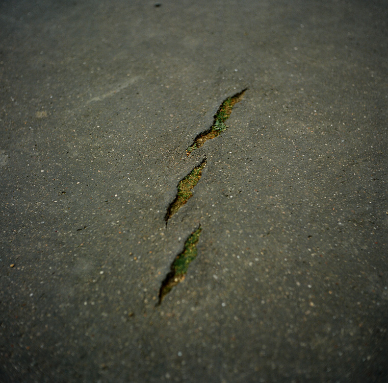 scars