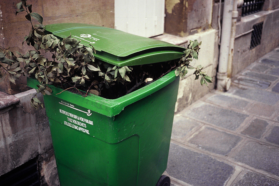 trashed green