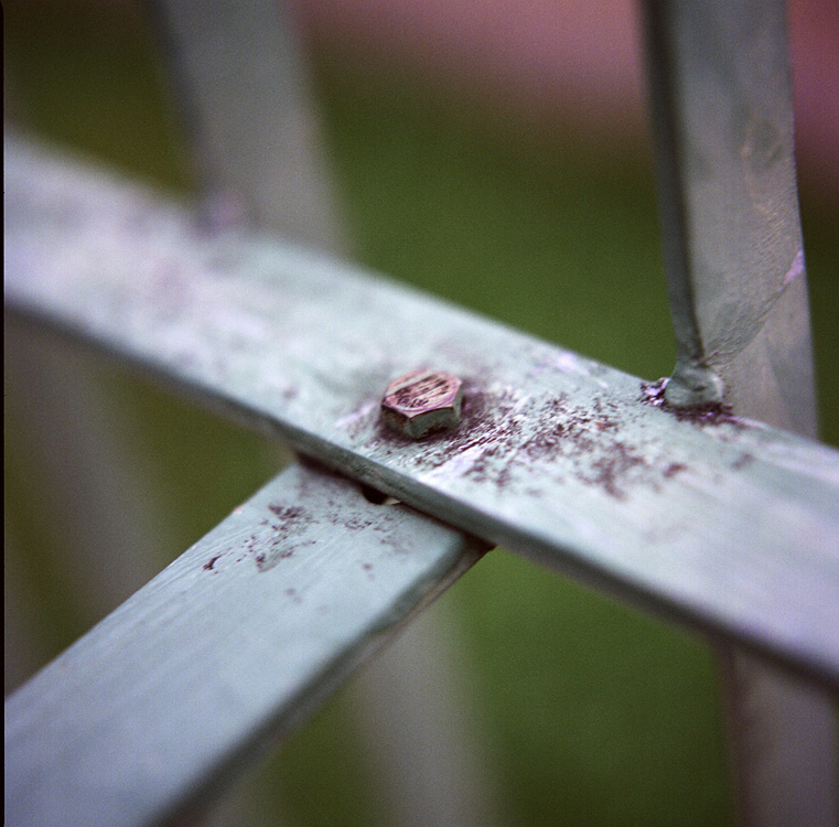 The cross