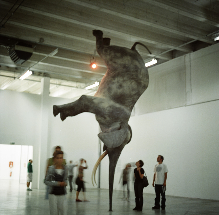 One day at the Palais de Tokyo #2