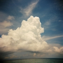 Under the clouds