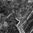 on the fence