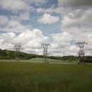 3 monsters in the field