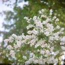 Spring is back ;-)