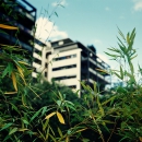Ubernature