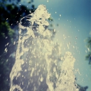 there's strange life in water