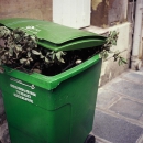 trashed green