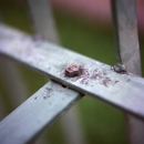 The cross