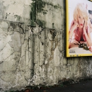 beauty of decay