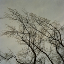 winter tree