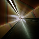 the tube...