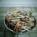 yummy...